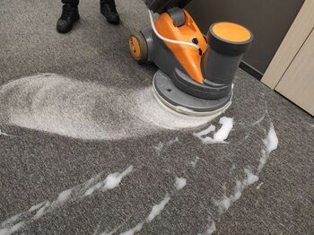 Carpet Shampooing in Round Mountain, California by Win-Win Cleaning Services